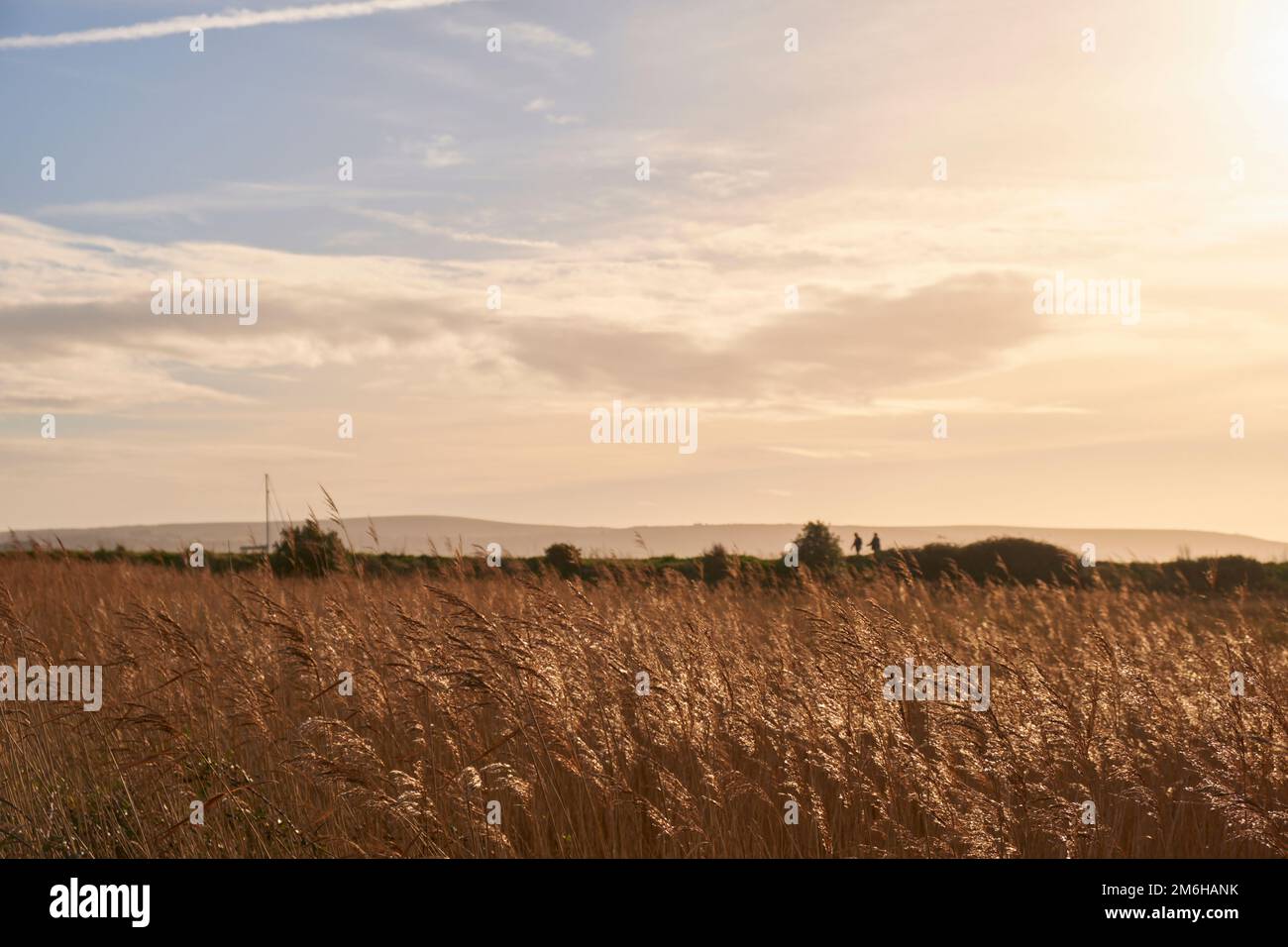 Die Wanderer sind in der Ferne auf der Seebaumdeiche von Keyhaven umrandet Stockfoto