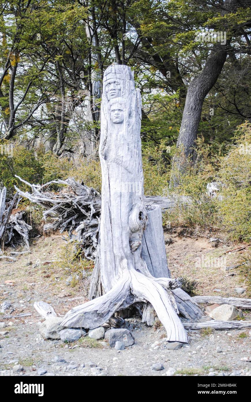 Zwei Köpfe in einen Baumstamm am Seeufer von Brazo Rico, Perito-Moreno-Gletscher, Argentinien Stockfoto