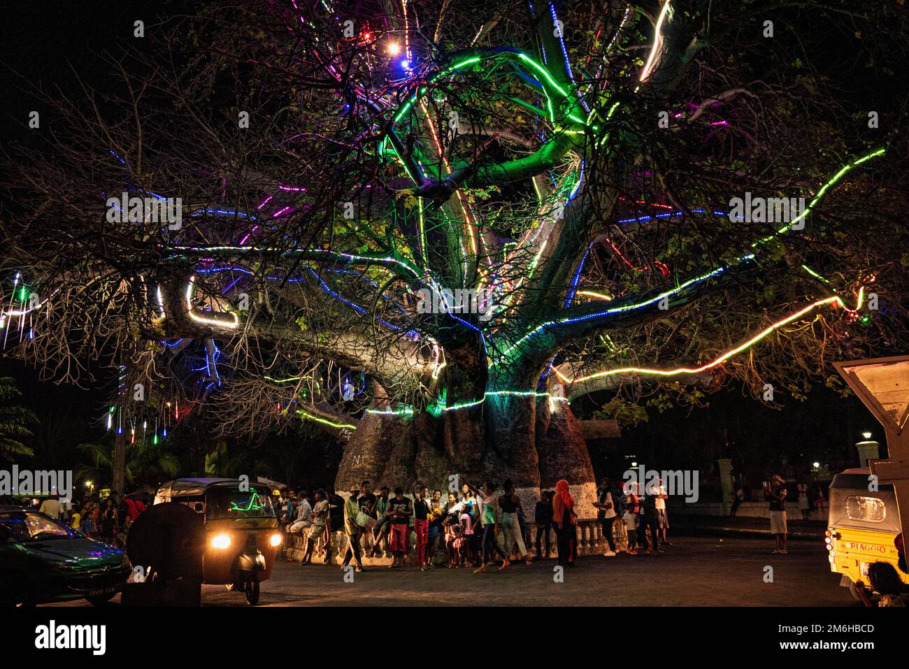 Alter afrikanischer Baobab (Adansonia digitata) Baum auf der Avenida de Francenian Baobab Baum, Boulevard Poincare Folk Festival, Nacht, Menschen, Mahajanga Stockfoto