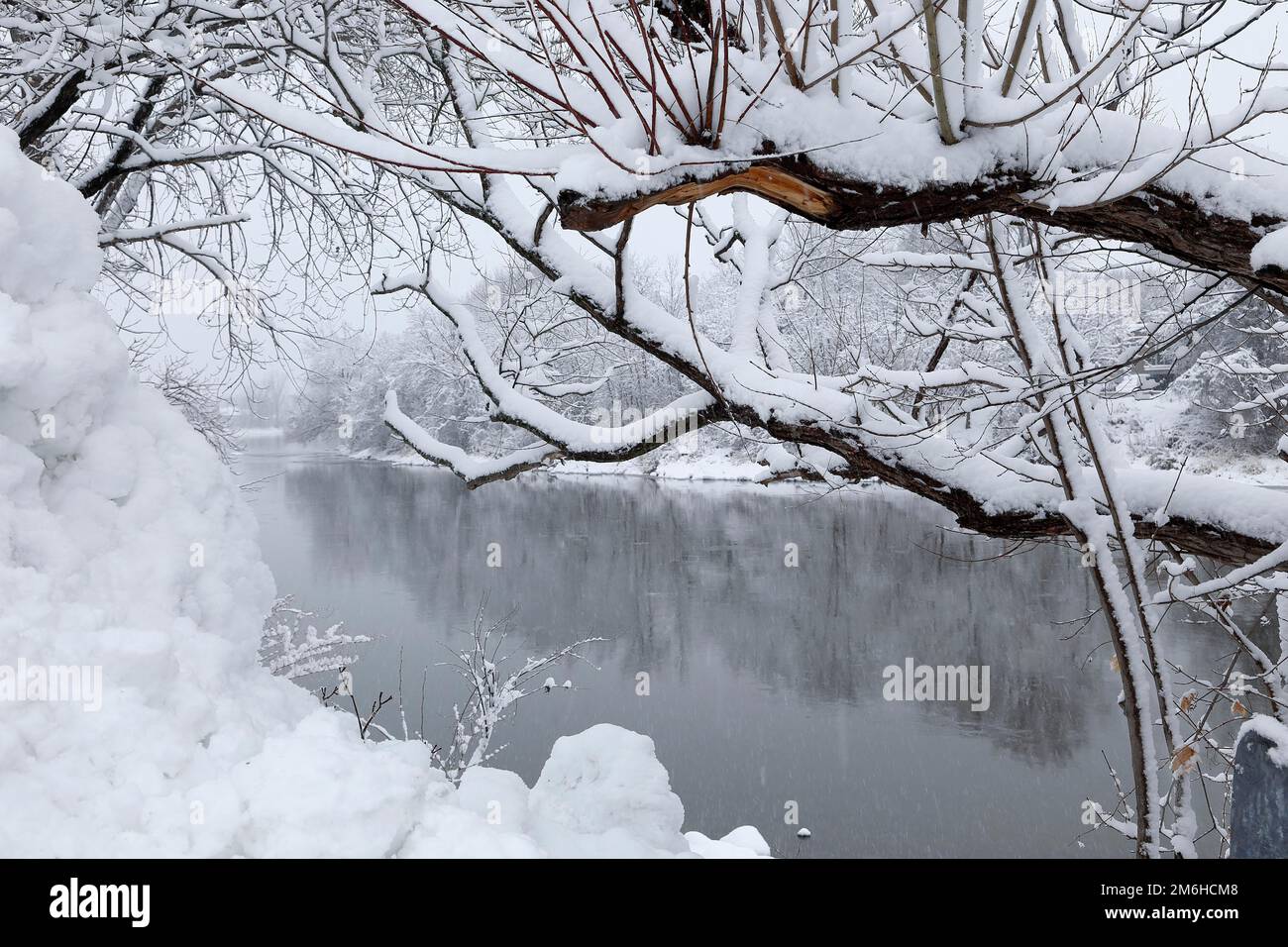 Winterlandschaft bedeckt mit Schnee, Provinz Quebec, Kanada Stockfoto