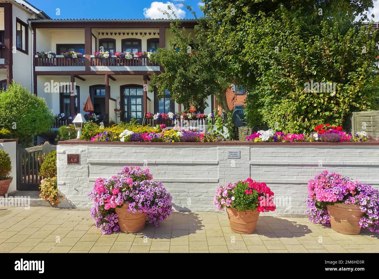 Ferienhaus, Haus Nummer 35, Nordseeinsel, friesische Karibik, üppige Blüten, Pflanzmaschinen, Blüten, Petunien (Petunien), Geranien (Pelargonium) Stockfoto