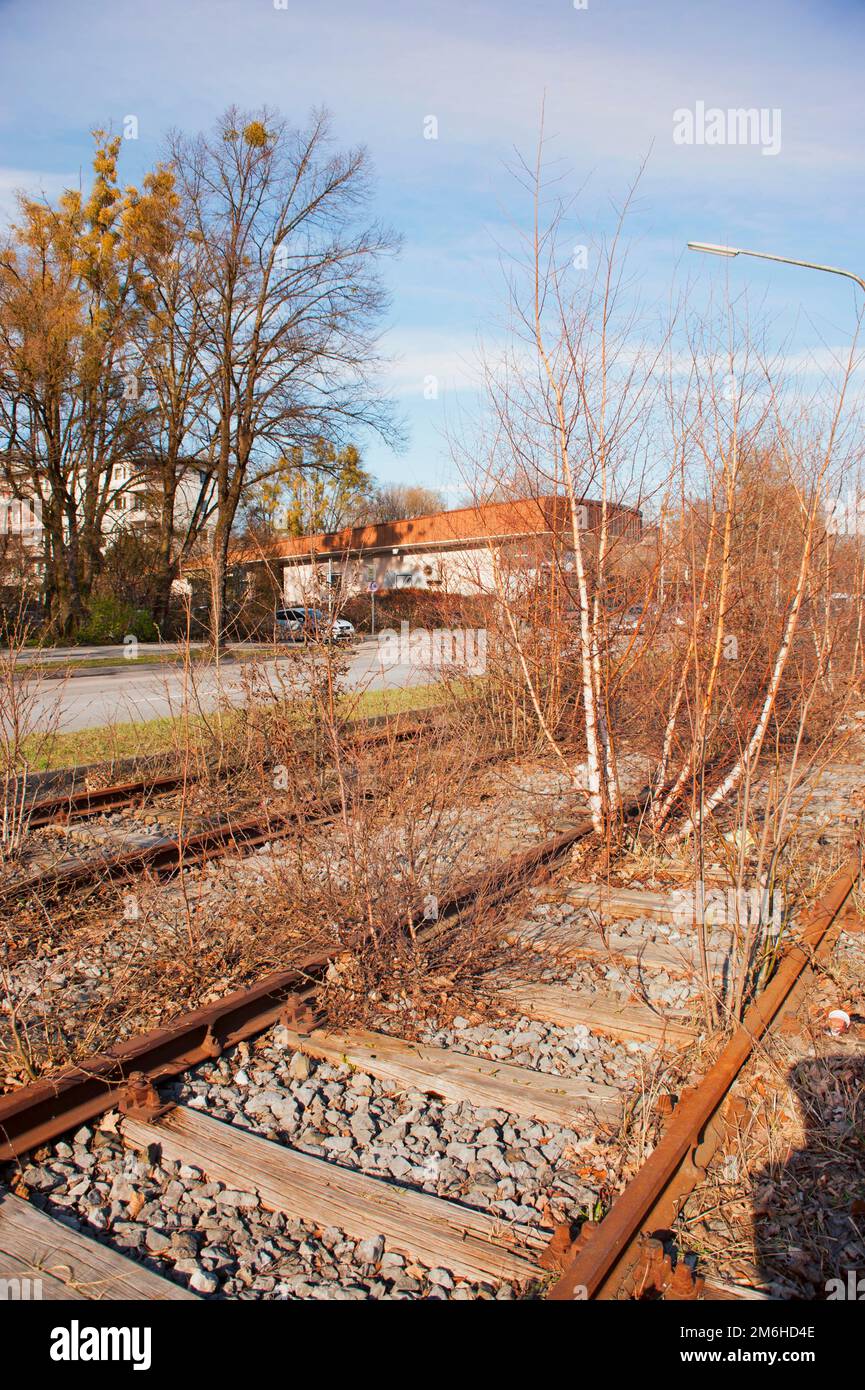 Tote Straßenbahn, ehemalige Straßenbahnlinie, stillgelegt, mit Bäumen und Schornsteinen überwuchert, Sendling, München, Bayern Stockfoto