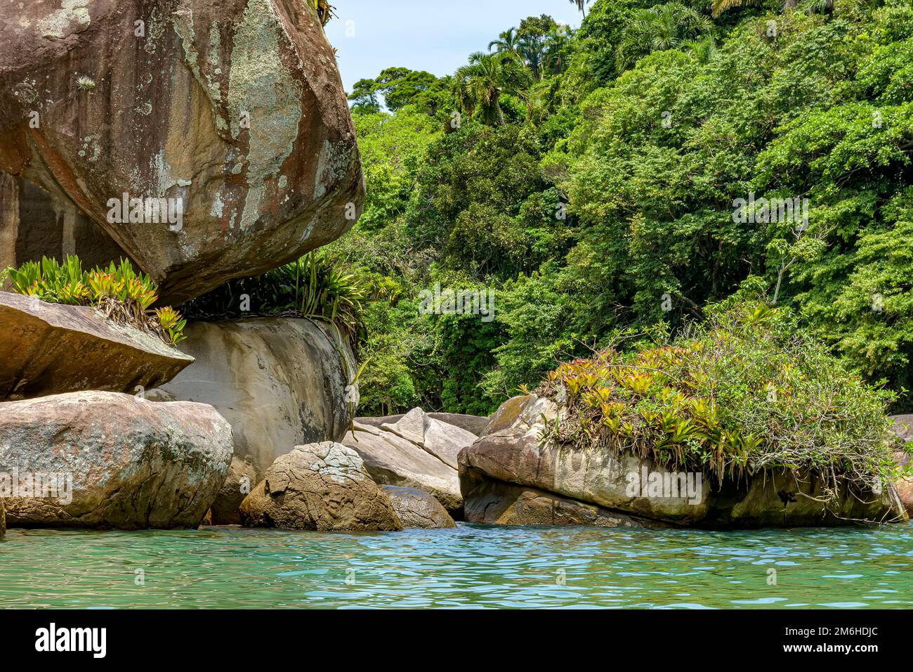 Wald trifft auf Felsen und Meer in Trindade Stockfoto
