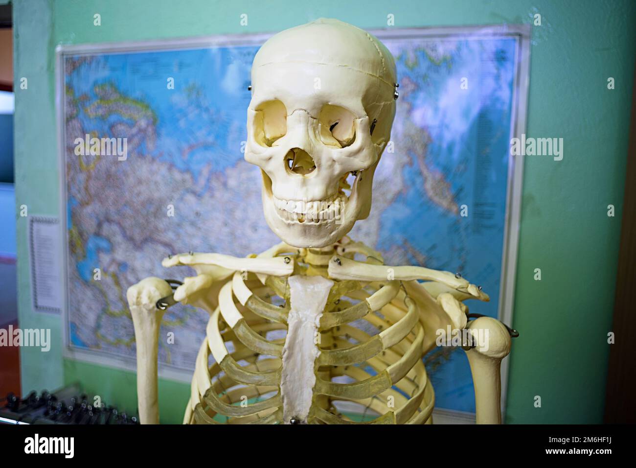 Ein altes menschliches Skelett in einem Schulbüro im Hintergrund einer Karte Stockfoto