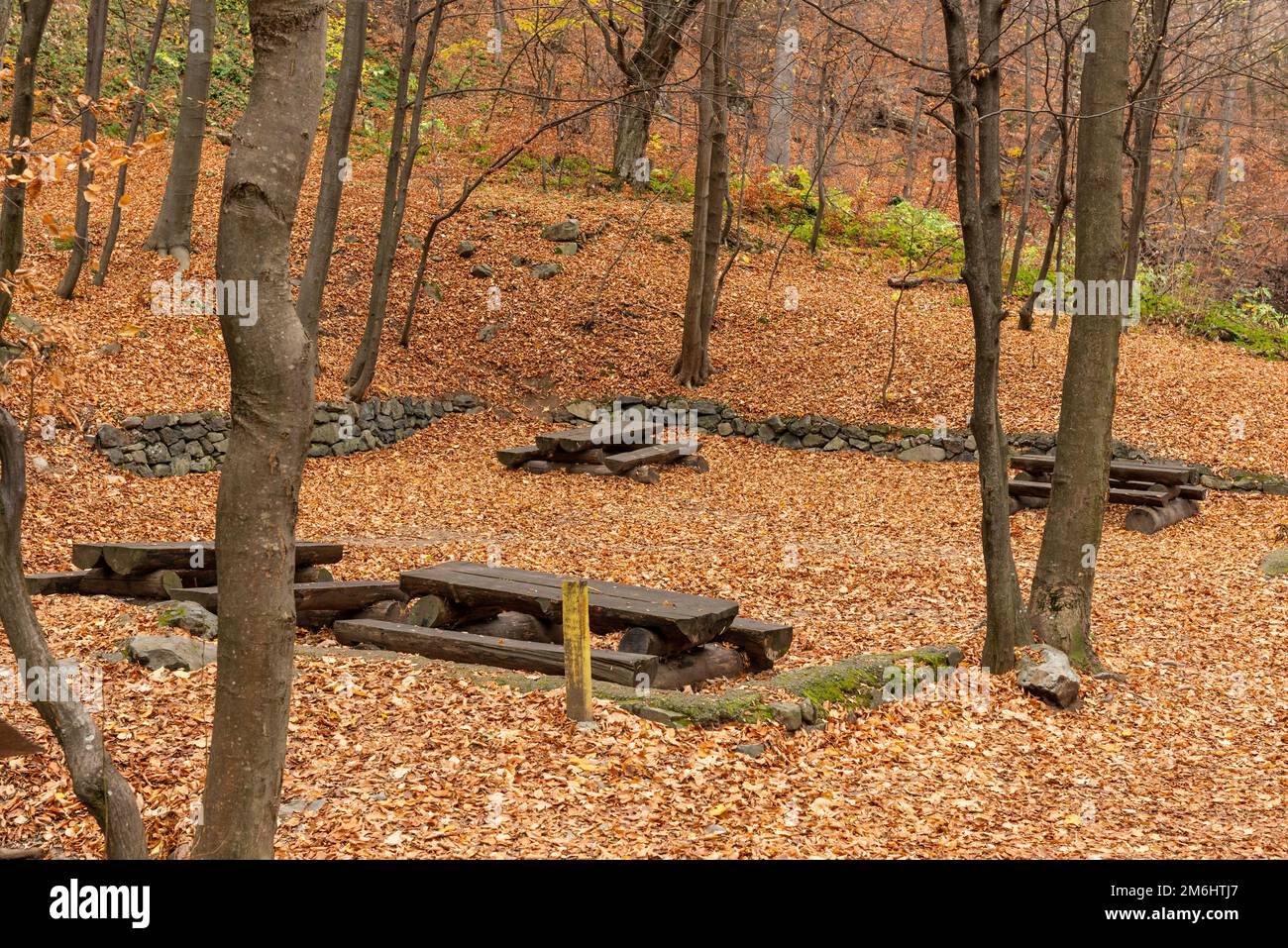 Leerer Picknickbereich im Vitosha-Berg bei Sofia, Bulgarien Stockfoto