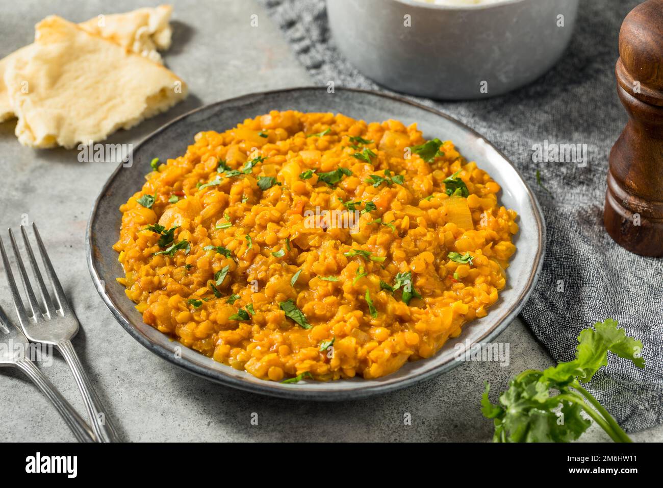 Hausgemachter Lentil Dal mit Reis und Cilantro Stockfoto