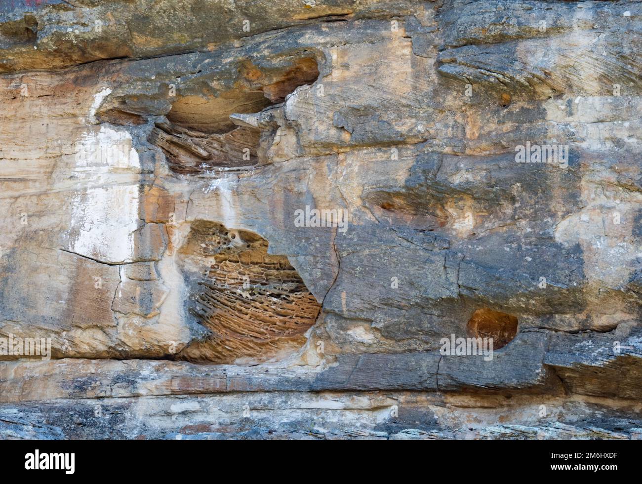Querbeete aus Sandstein erodiert, um 3-Dimensionsgeometrie anzuzeigen. Westkap, Südafrika. Stockfoto