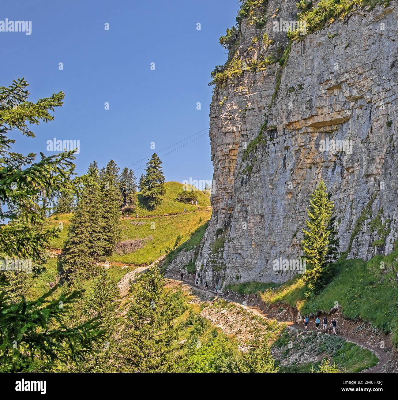 Wanderweg in großer Höhe in der Nähe von Hoher Kasten Appenzell Innerrhoden, Schweiz Stockfoto