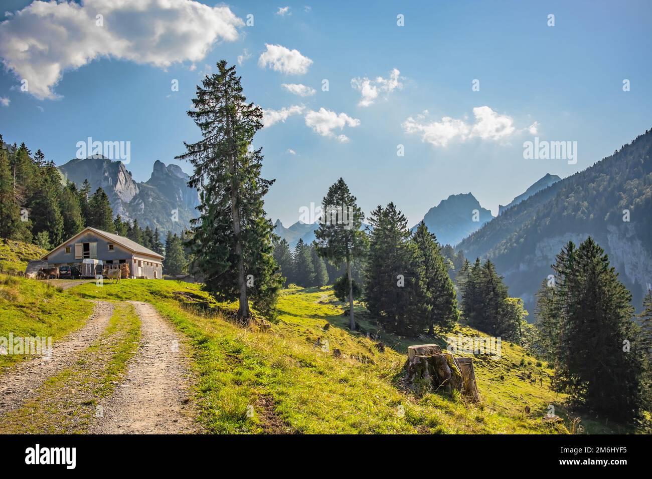 Alpenlandschaft in Alpstein, Kanton Appenzell Innerrhoden, Schweiz Stockfoto