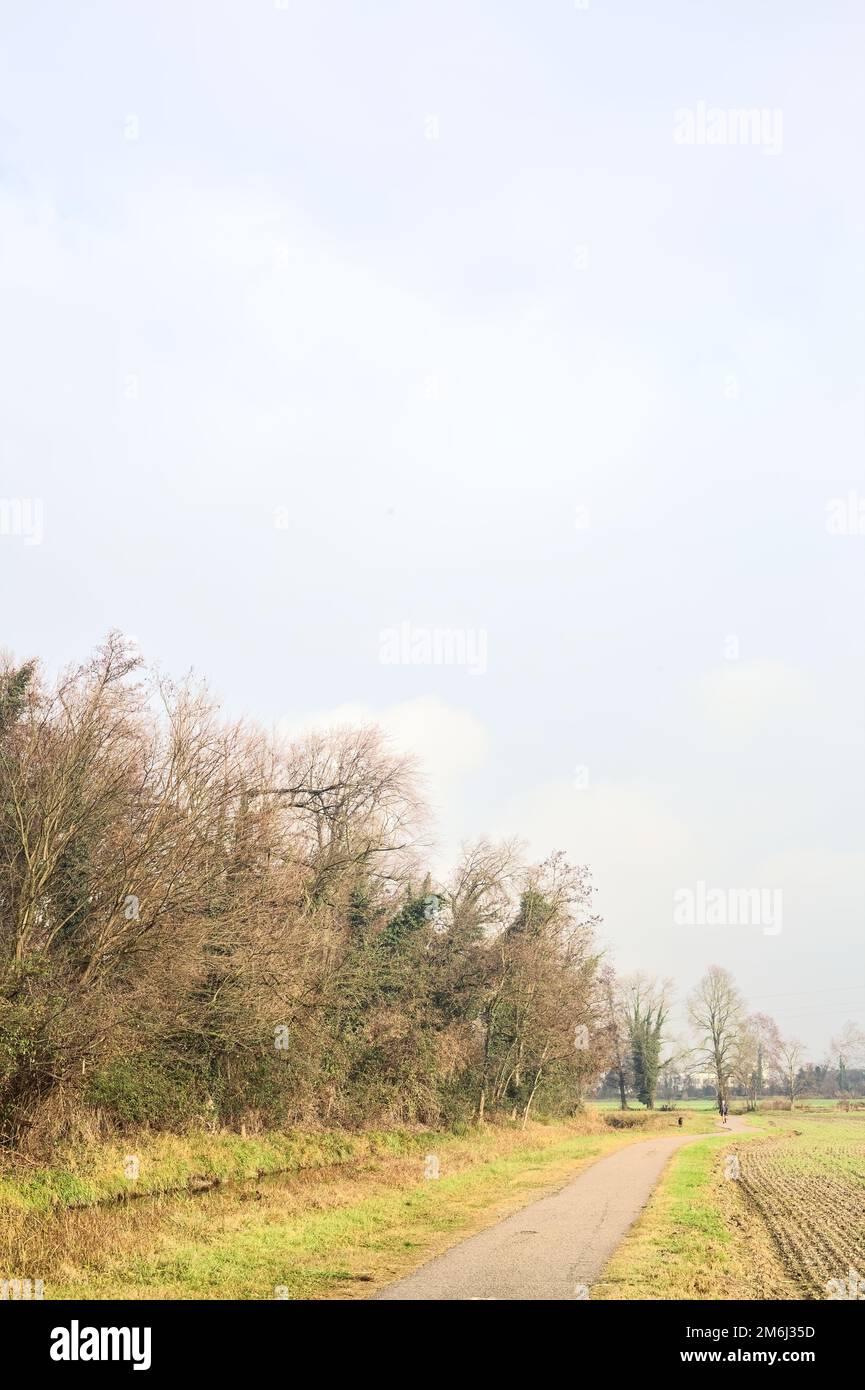Asphaltierter Pfad mit einem Wald und einem Wasserstrahl am Rande inmitten von bebauten Feldern an einem bewölkten Tag in der italienischen Landschaft Stockfoto