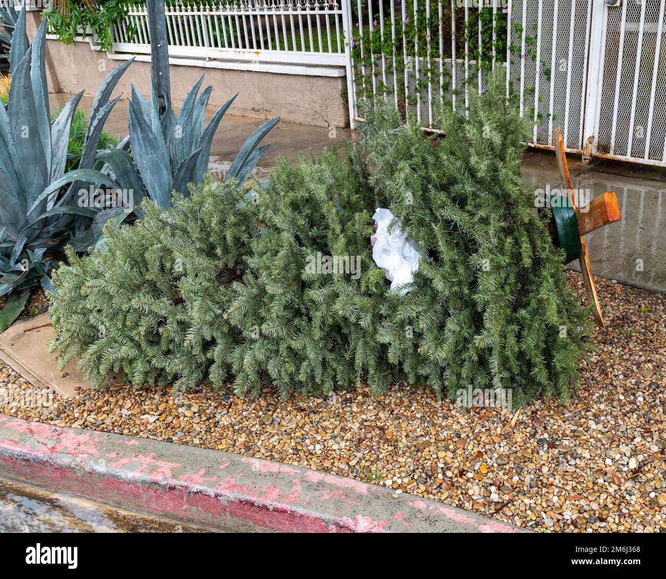 Entsorgte Weihnachtsbäume stapeln sich auf dem Bürgersteig in Los Angeles, Kalifornien. Stockfoto