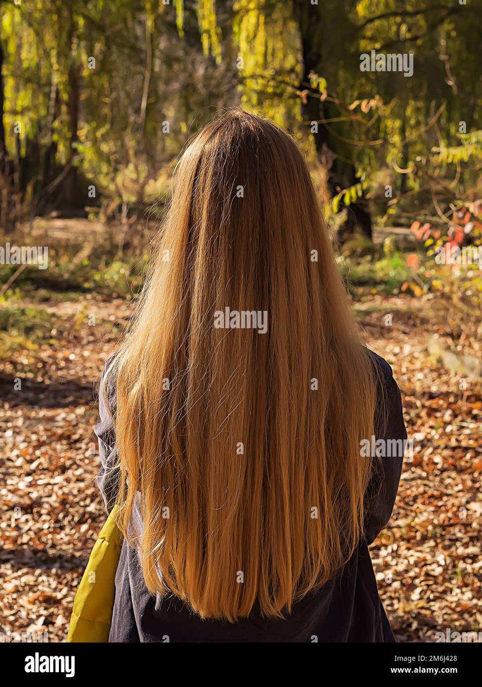Eine blonde Frau mit langen, fließenden Haaren steht an einem sonnigen Tag in einem Herbstpark. Rückansicht. Der Begriff der Natürlichkeit Stockfoto