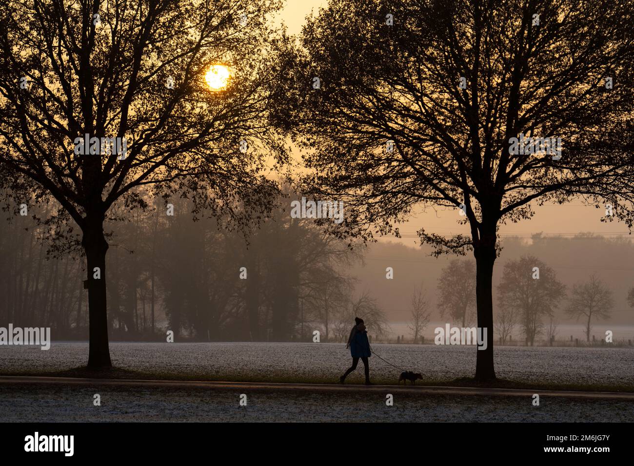 Winterspaziergang mit Hund, in der Nähe von Dorsten, NRW, Deutschland Stockfoto