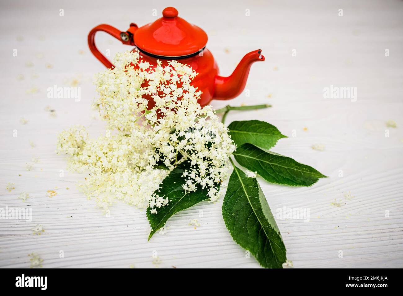 Leuchtend rote Teekanne für die Zubereitung von Holundertee in der Natur. Hausgemachter Kräutertee für Immunität. Stockfoto