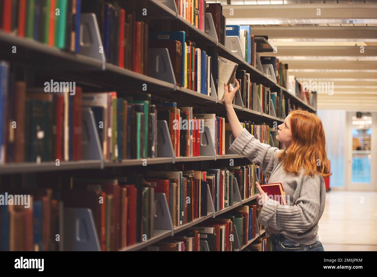 Teenager mit roten Haaren, die in der Bibliothek ein Buch pflücken. Stockfoto