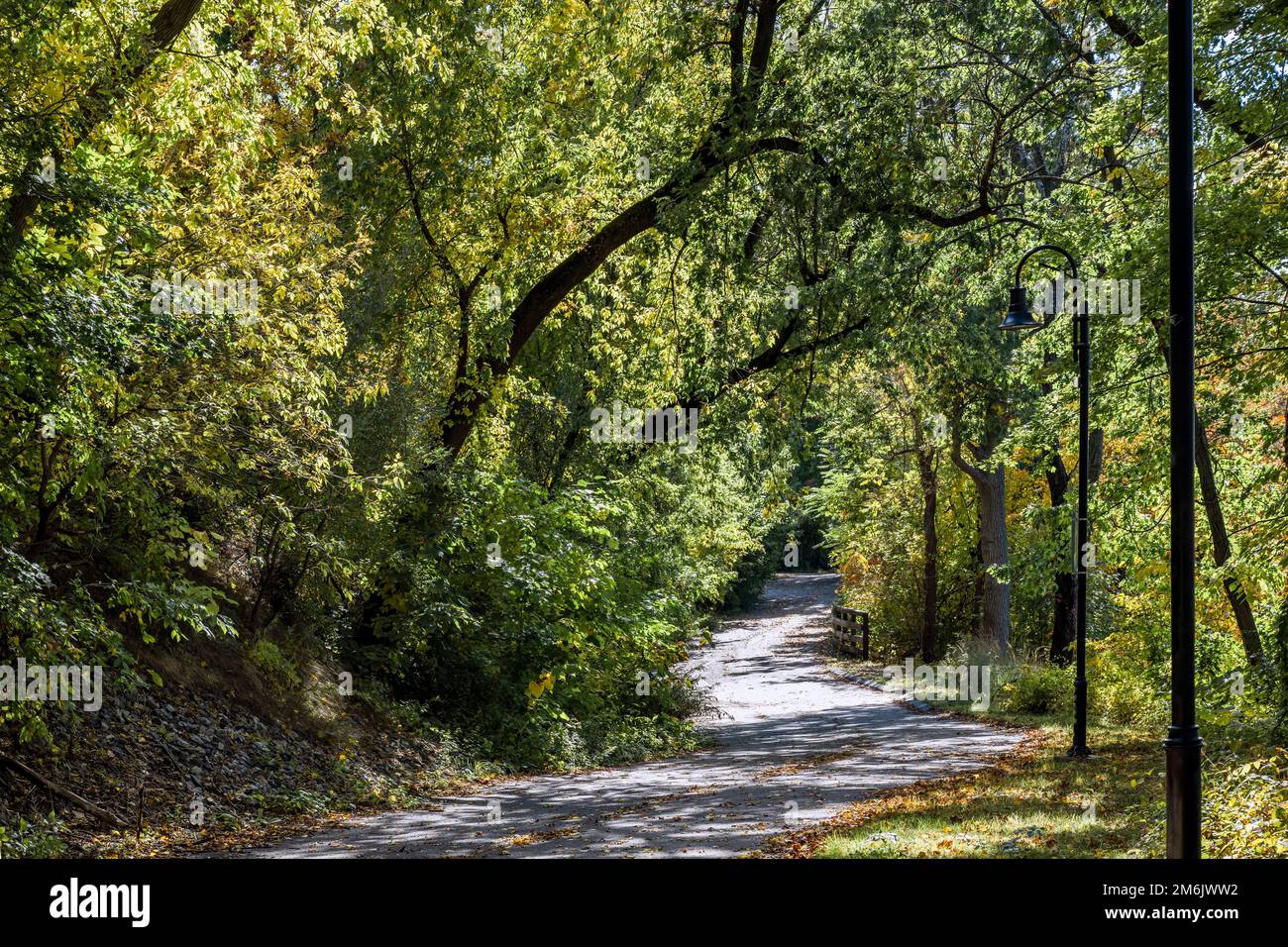 Eine überwältigende Landschaft mit einem Fußweg durch einen Laubwald mit fallendem Laub lädt Reisende und Touristen ein, die die Schönheit des Herbstes zu genießen Stockfoto