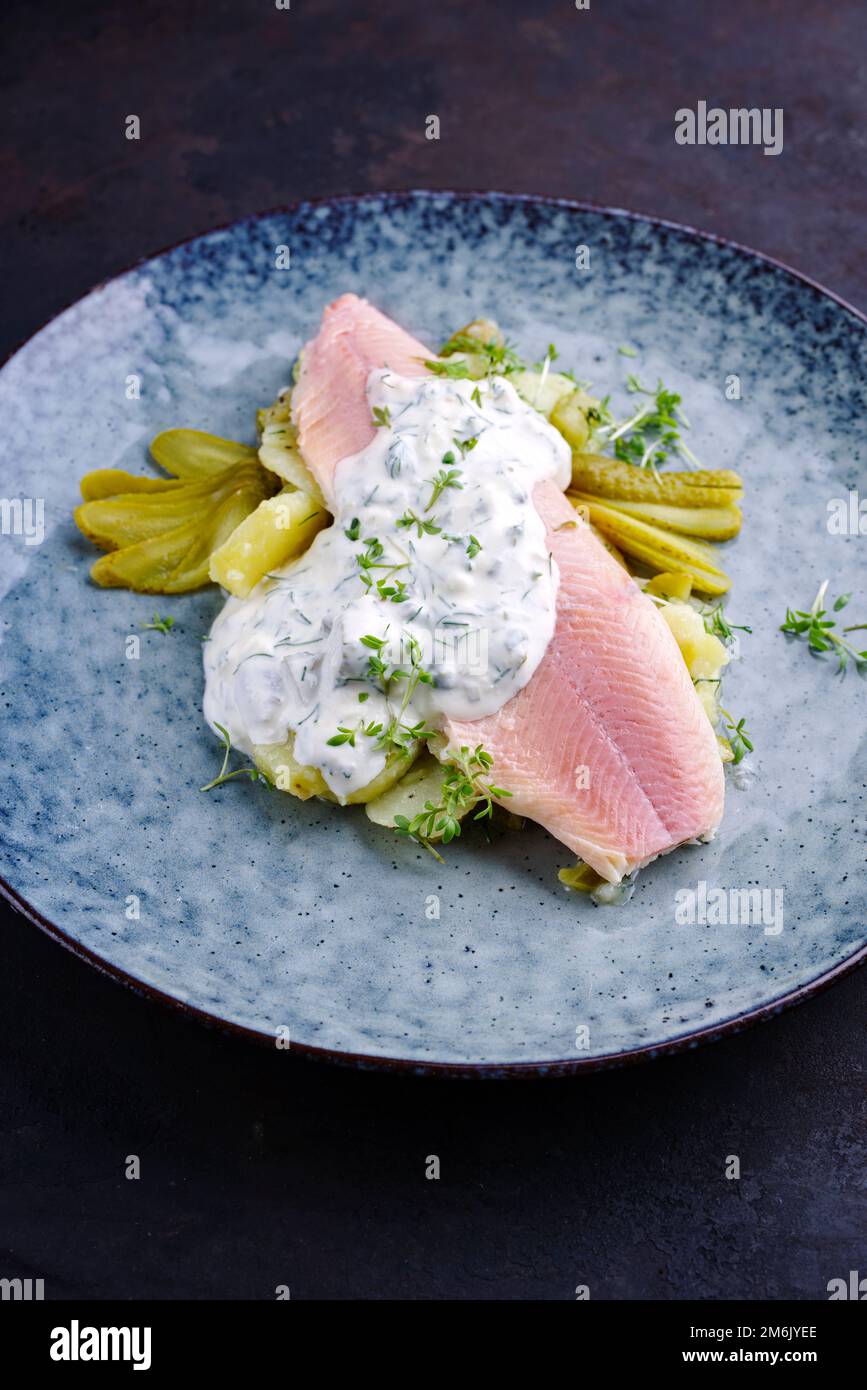 Deutsche forelle -Fotos und -Bildmaterial in hoher Auflösung – Alamy Deutsche forelle -Fotos und -Bildmaterial in hoher Auflösung – Alamy