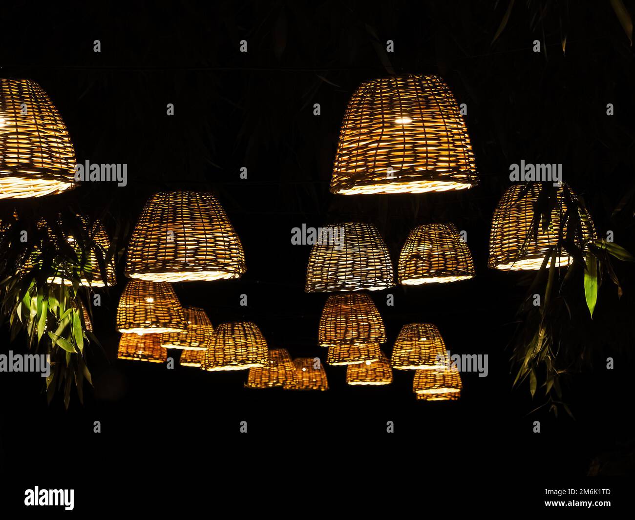 Viele Lampen mit Korblampenschirmen hängen in einem dunklen Bambuspark. Stockfoto