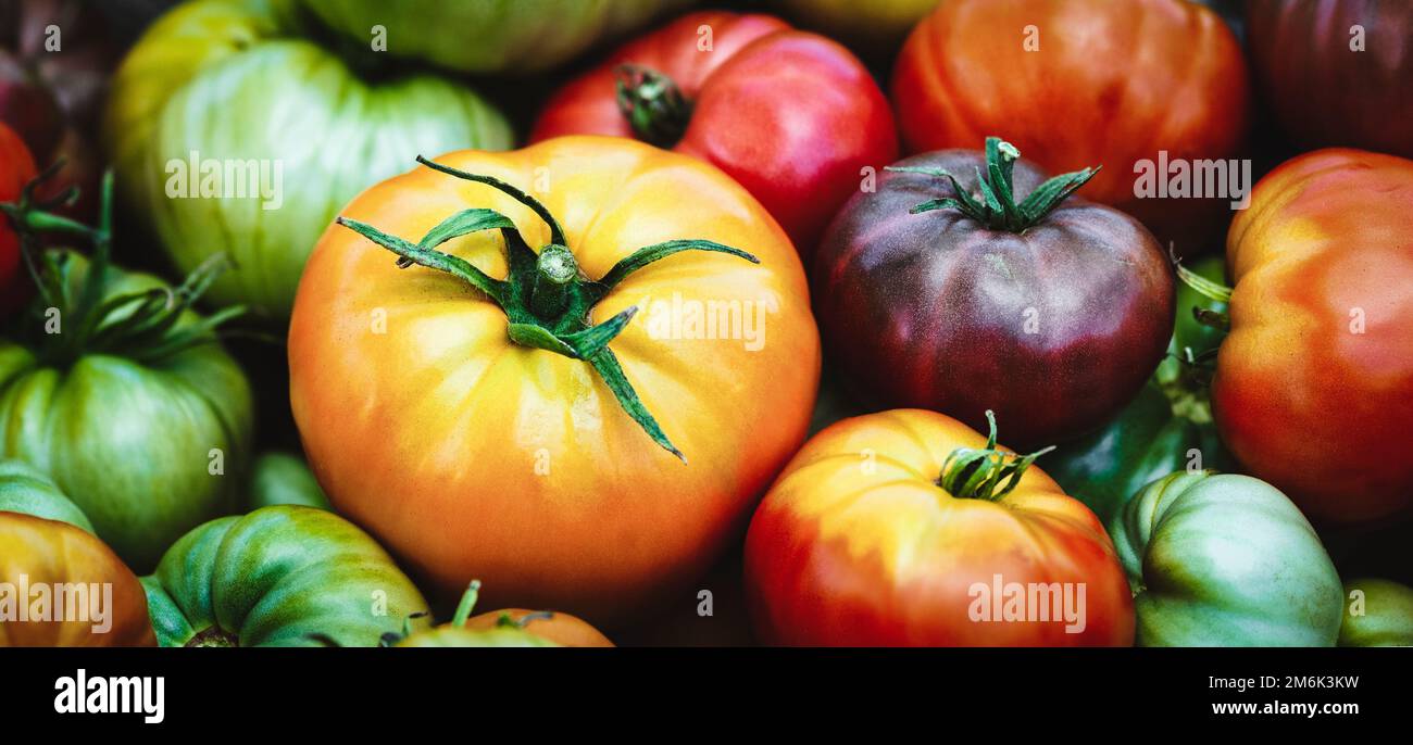 Hausgemachte Tomaten, frisches, farbenfrohes Bio-Gemüse, sommerliche Lebensmittel Hintergrund, gesunde Ernährung Stockfoto