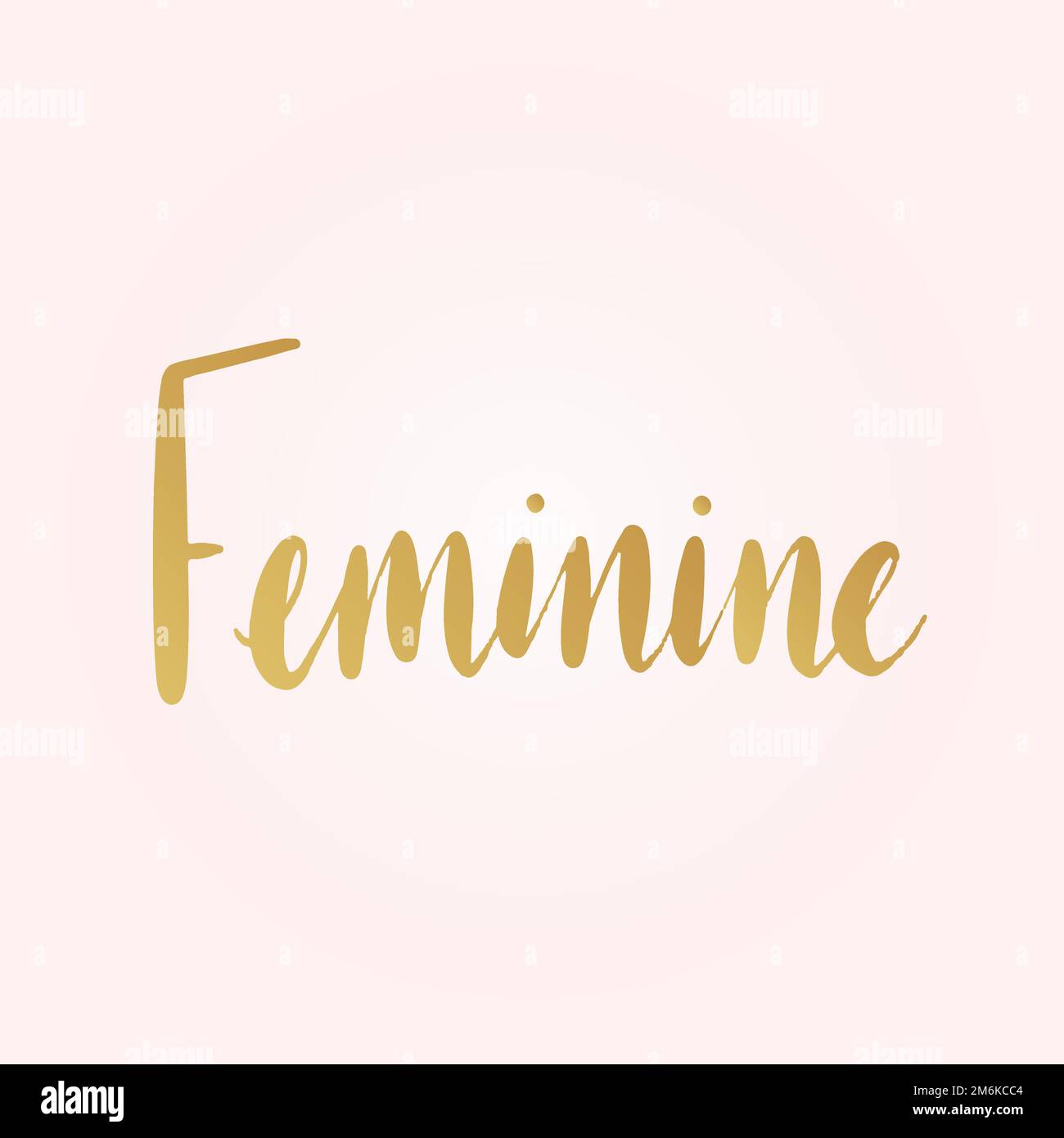 Feminine Wort Typografie Stil Vektor Stock Vektor