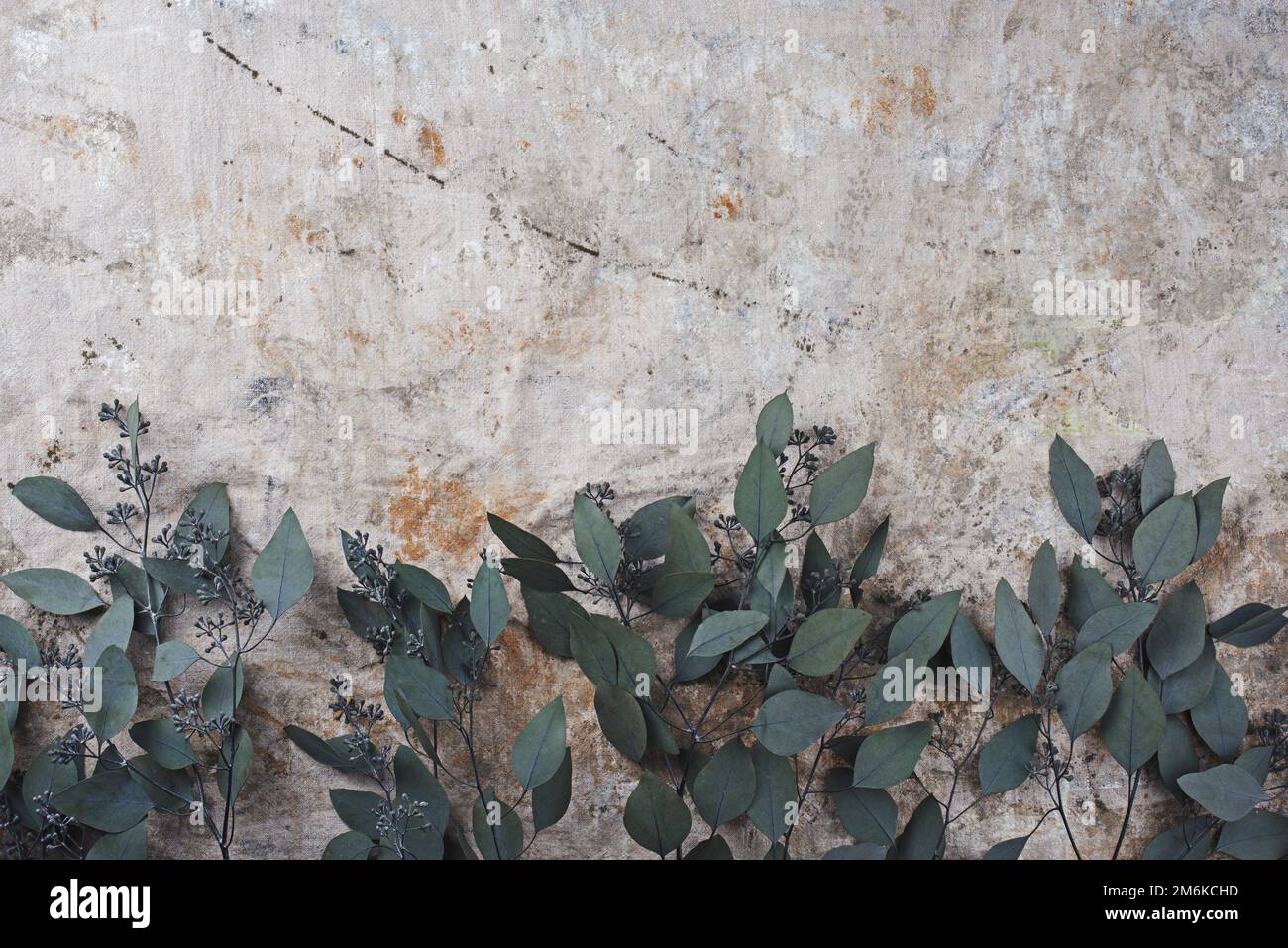 Abstrakte Grunge bemalte Tapete als Hintergrund mit Dekoration im Landhausstil und Kopierbereich oben Stockfoto
