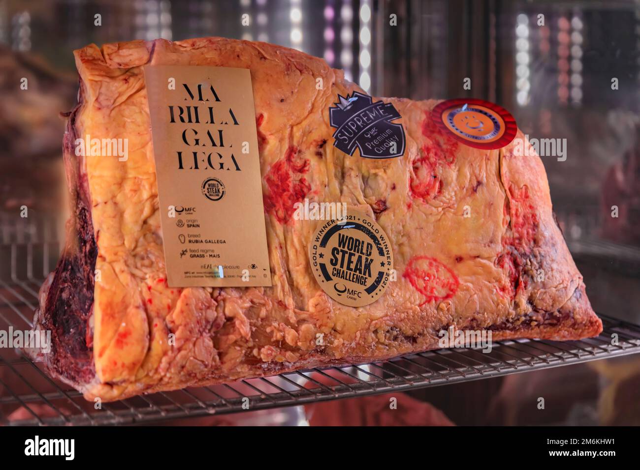 Florenz, Italien - 03. Juni 2022: Klassisches ungeschnittenes, trockenes, gereiftes T-Bone-Steak aus einer galizischen Kuh von Marilla Rubia Gallega in einem Restaurant Stockfoto