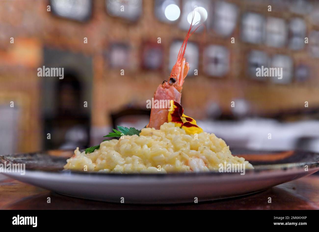 Ein Teller Safran-Risotto mit gegrillten Garnelen und Petersilie, serviert in einem italienischen Luxusrestaurant im Centro Storico, Florenz, Italien Stockfoto