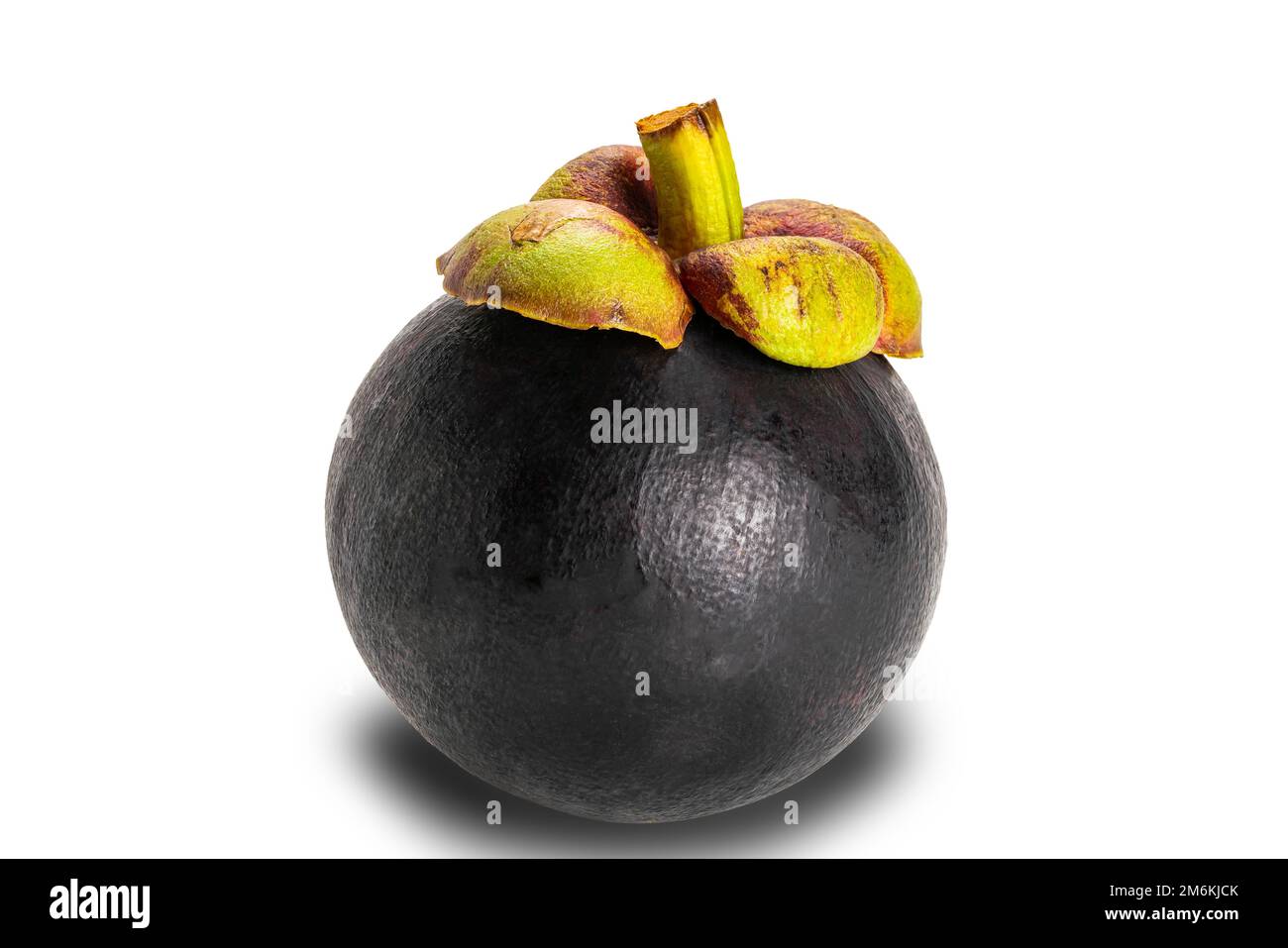 Großansicht eines einzelnen, ganzen reifen Mangostans, isoliert auf weißem Hintergrund mit Beschneidungspfad. Stockfoto