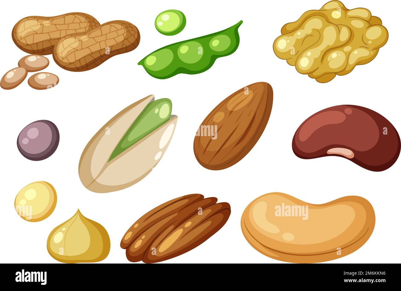 Illustration der Gruppe von Proteinnahrung Stock Vektor