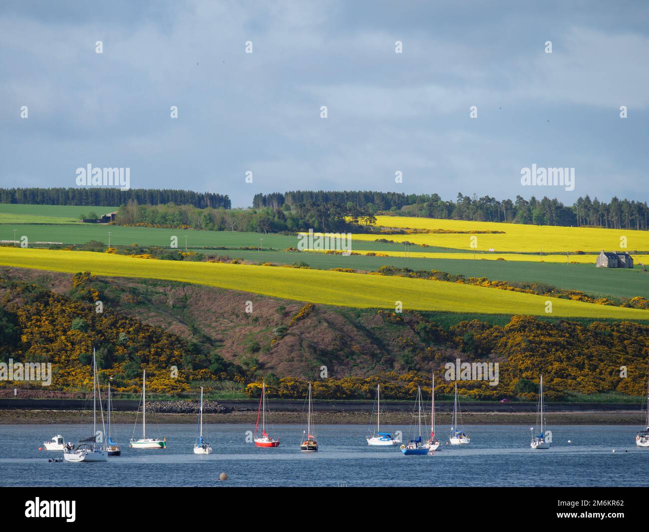 Schottland bei invergordon Stockfoto