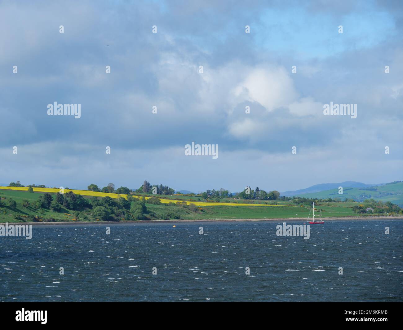 Schottland bei invergordon Stockfoto