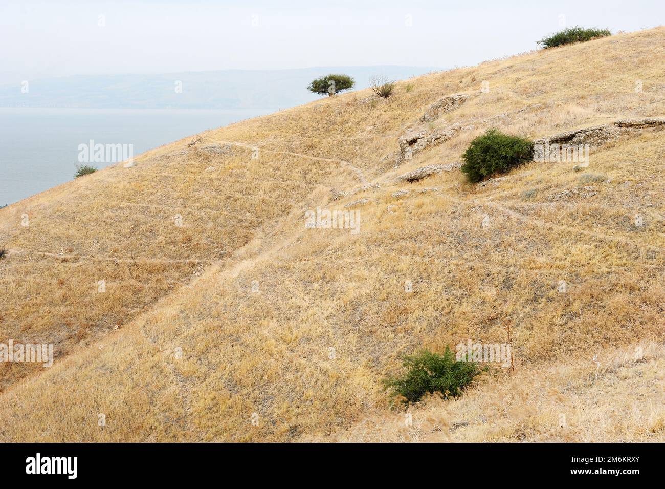 Pisten der Golanhöhen Stockfoto