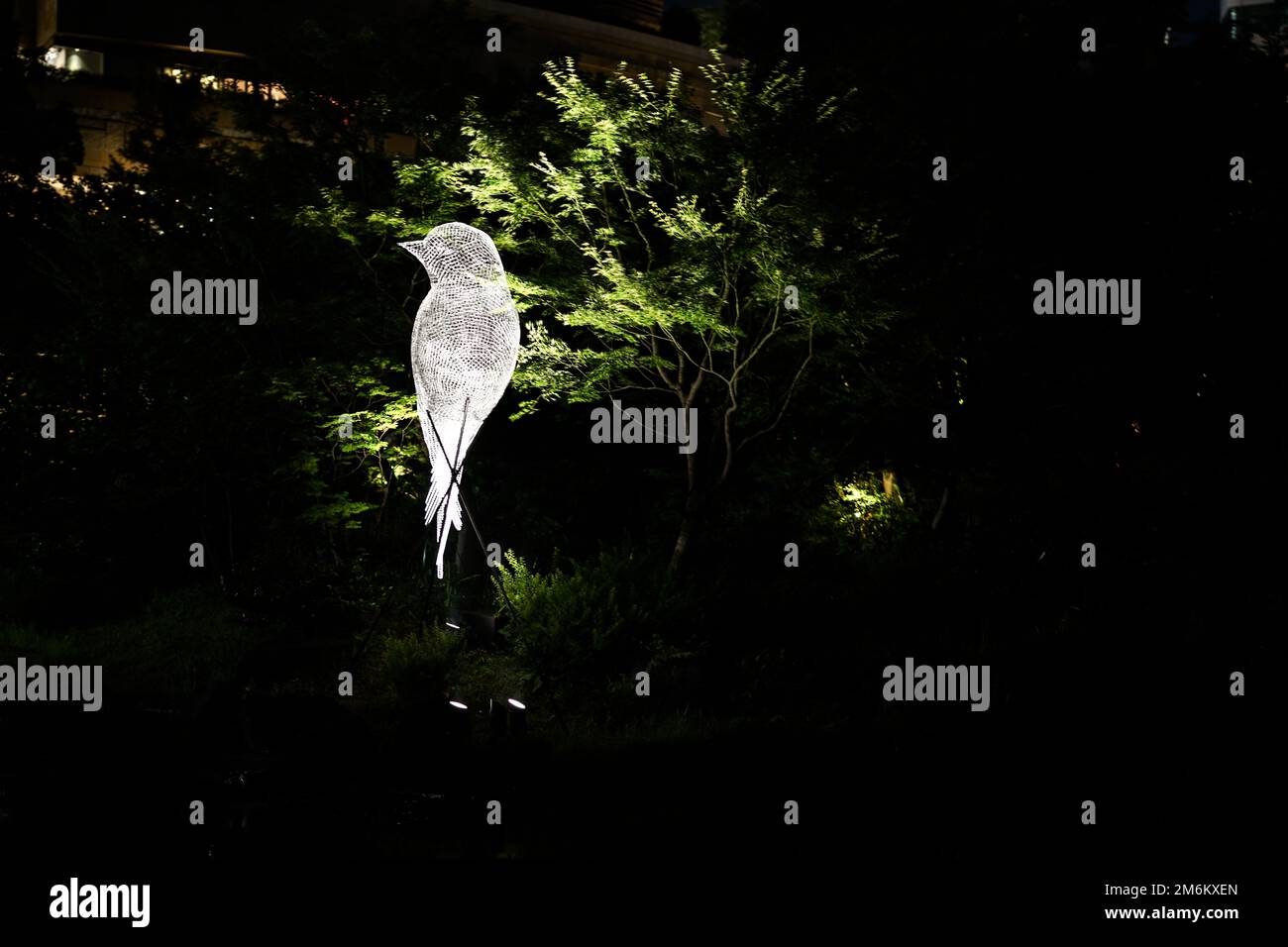 Roppongi der Straßen und die Vögel der Objekte Stockfoto