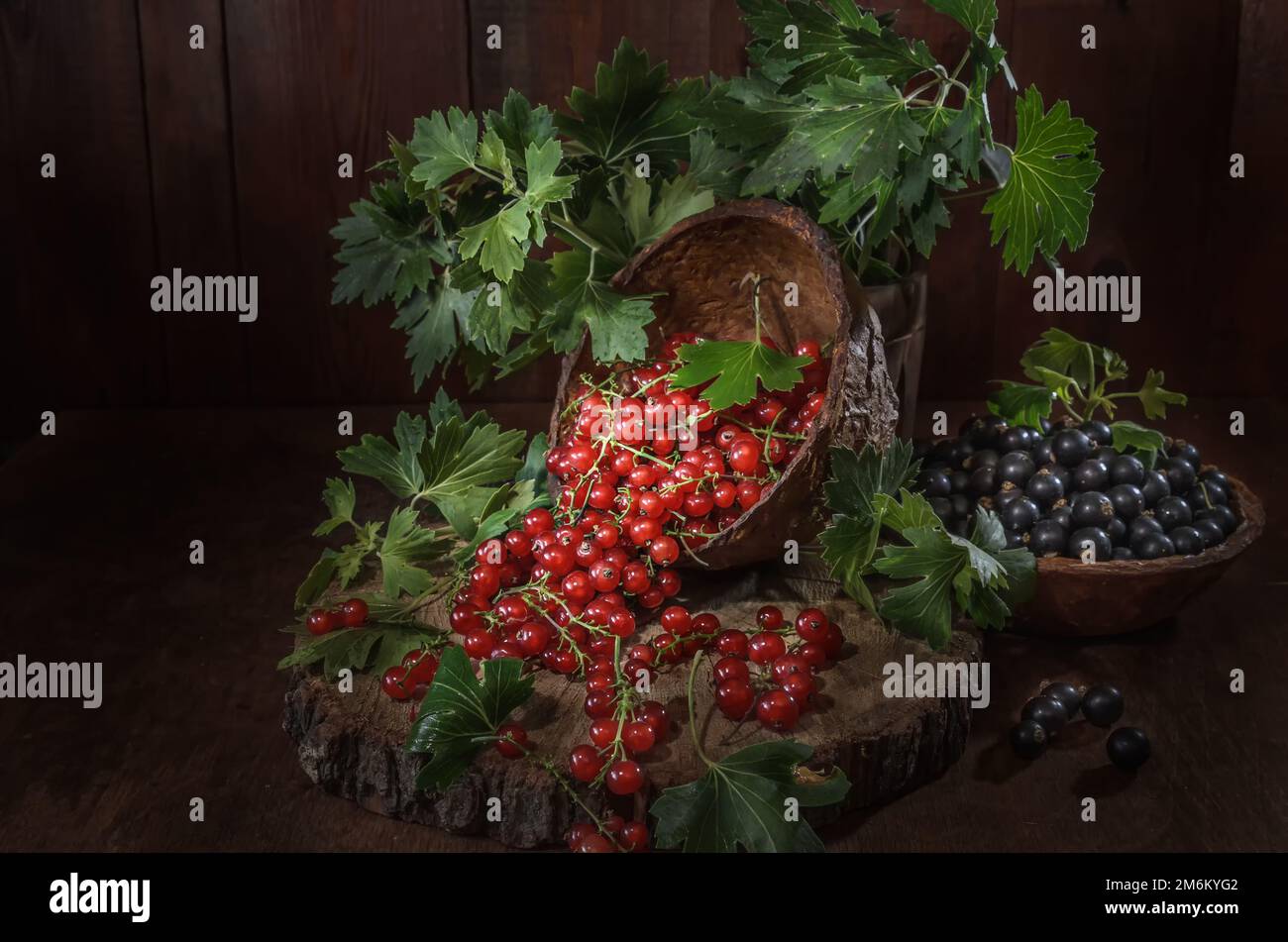 Reife Johannisbeeren auf dunklem Holzhintergrund Stockfoto