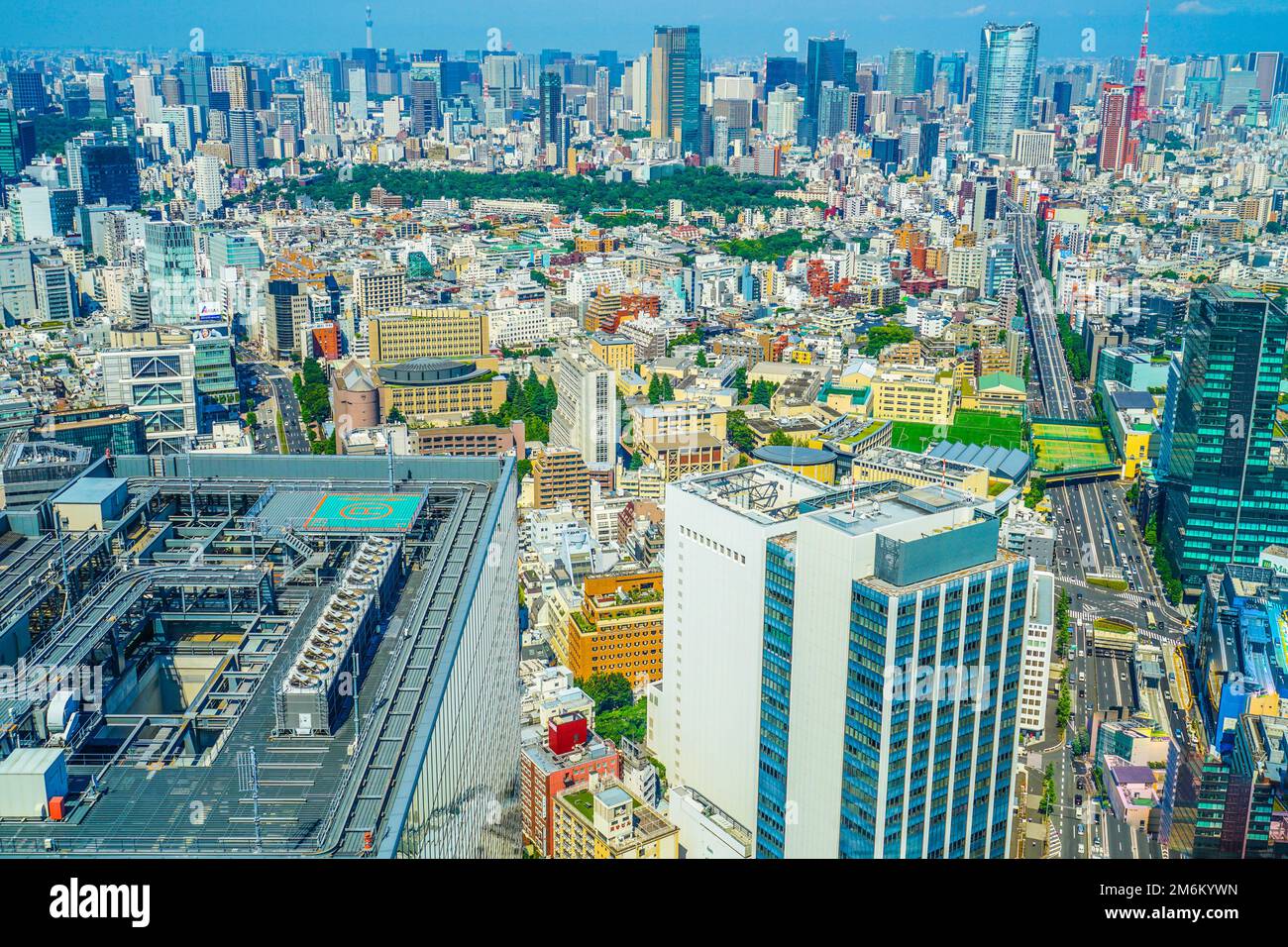 Der Blick vom Shibuya Sky Observatorium Stockfoto