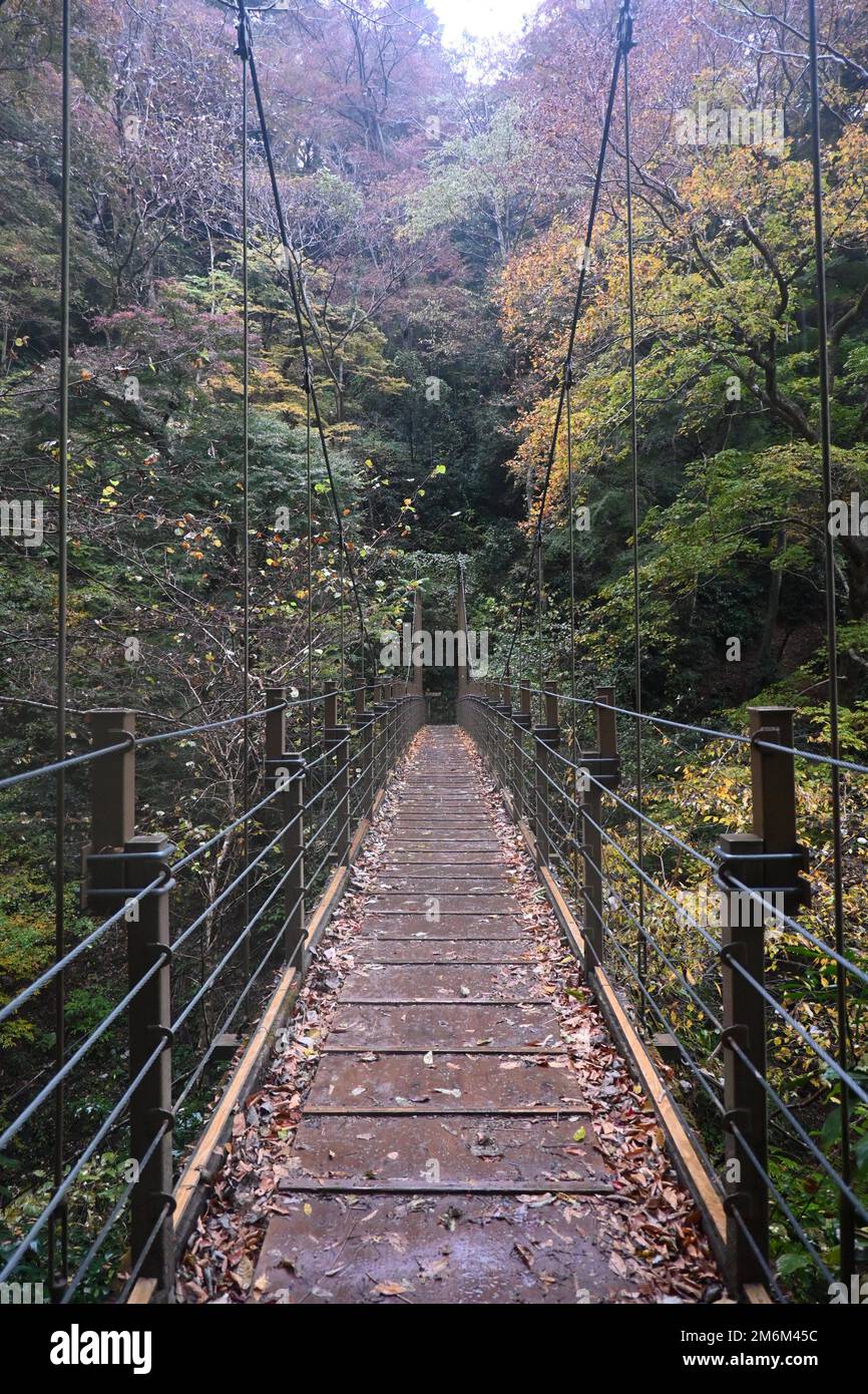 Brücke in Mount Takao Stockfoto
