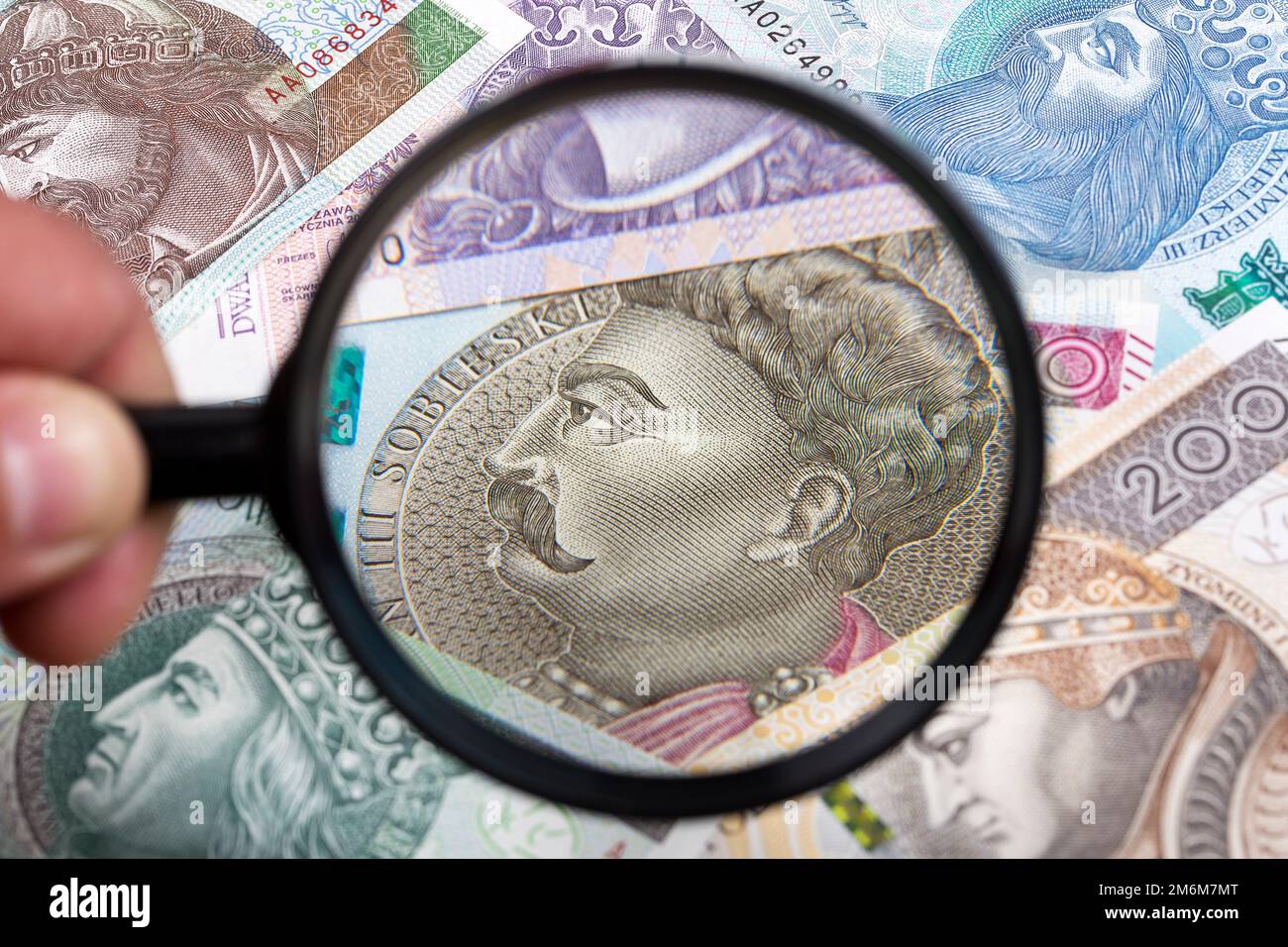 Polnischer Zloty in einer Lupe ein geschäftlicher Hintergrund Stockfoto