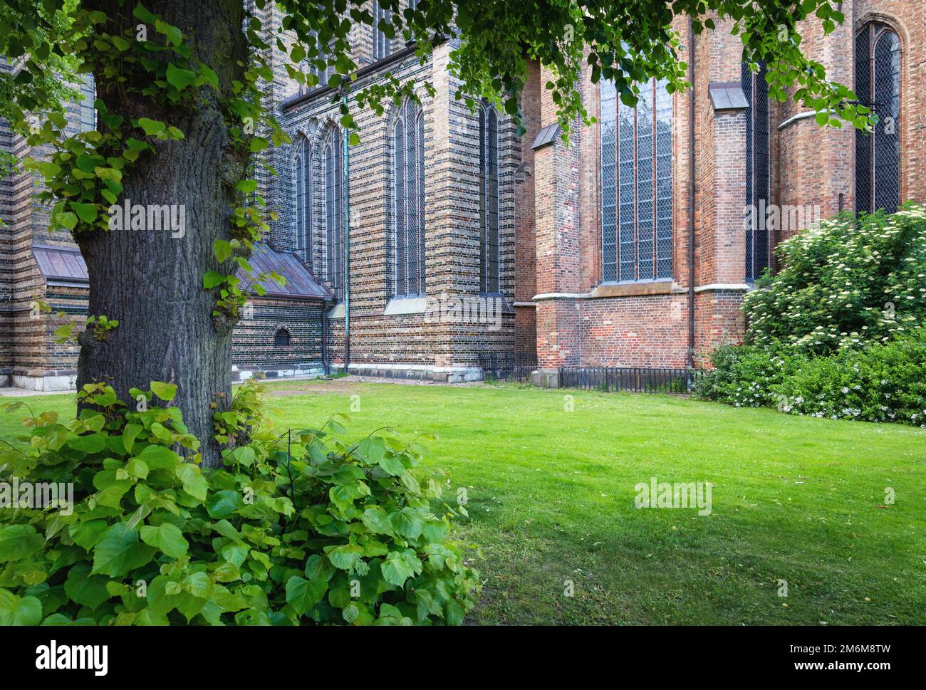 St. Marien oder Marienkirche Hansestadt Rostock Mecklenburg Vorpommern Deutschland Stockfoto