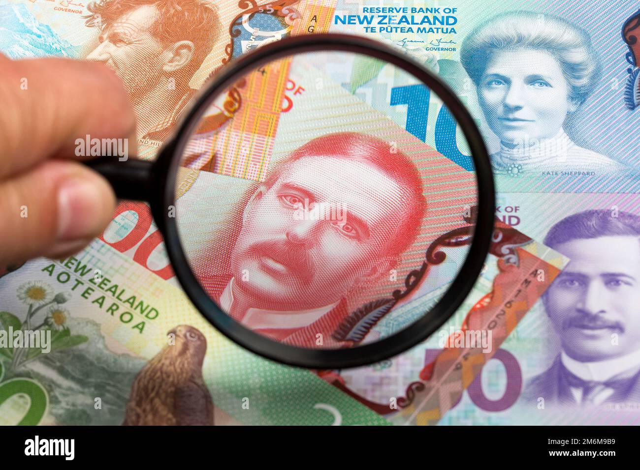 Neuseeland-Dollar in einer Lupe ein geschäftlicher Hintergrund Stockfoto