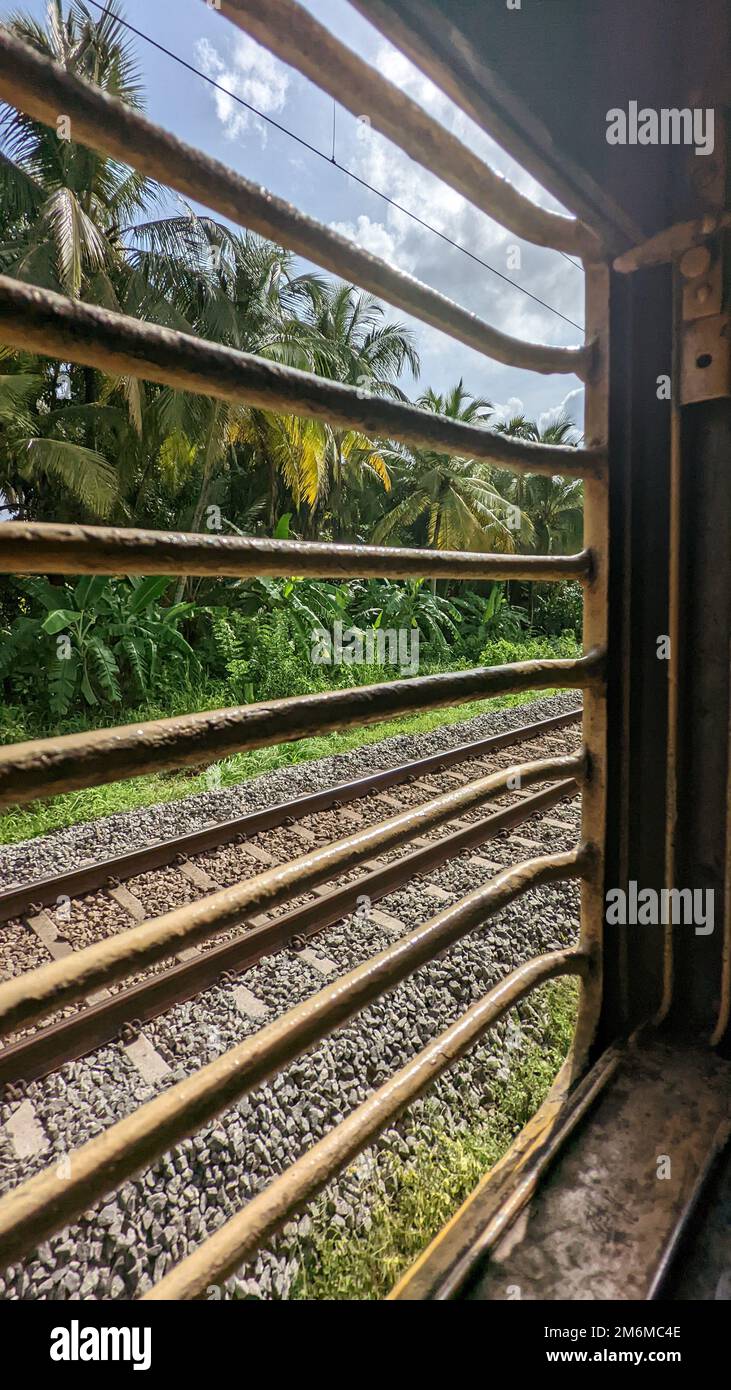 Blick auf die Natur durch ein Zugfenster während der Fahrt entlang der Landbahn im Sommer Stockfoto