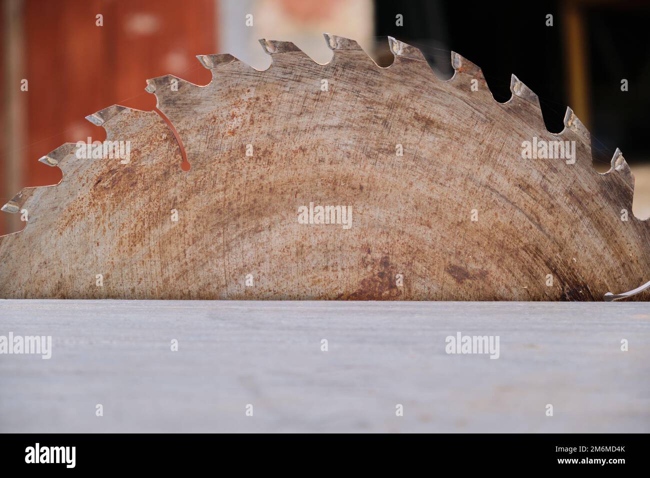 Metallkreissägeblatt mit Zähnen über dem Arbeitstisch zum Schneiden von Holzmaschinen Stockfoto
