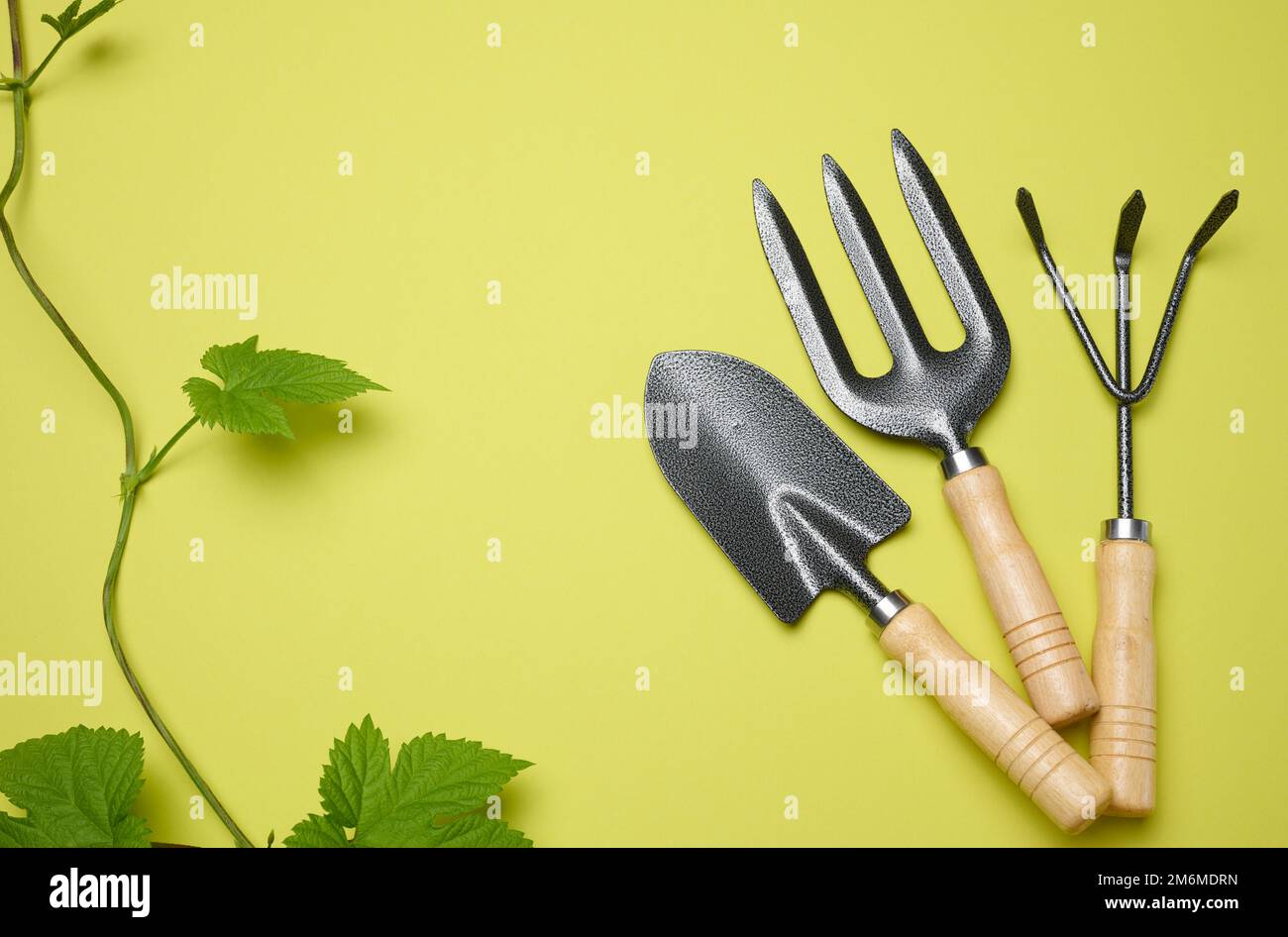 Gartengeräte zur Bearbeitungen im Garten auf grünem Hintergrund Stockfoto