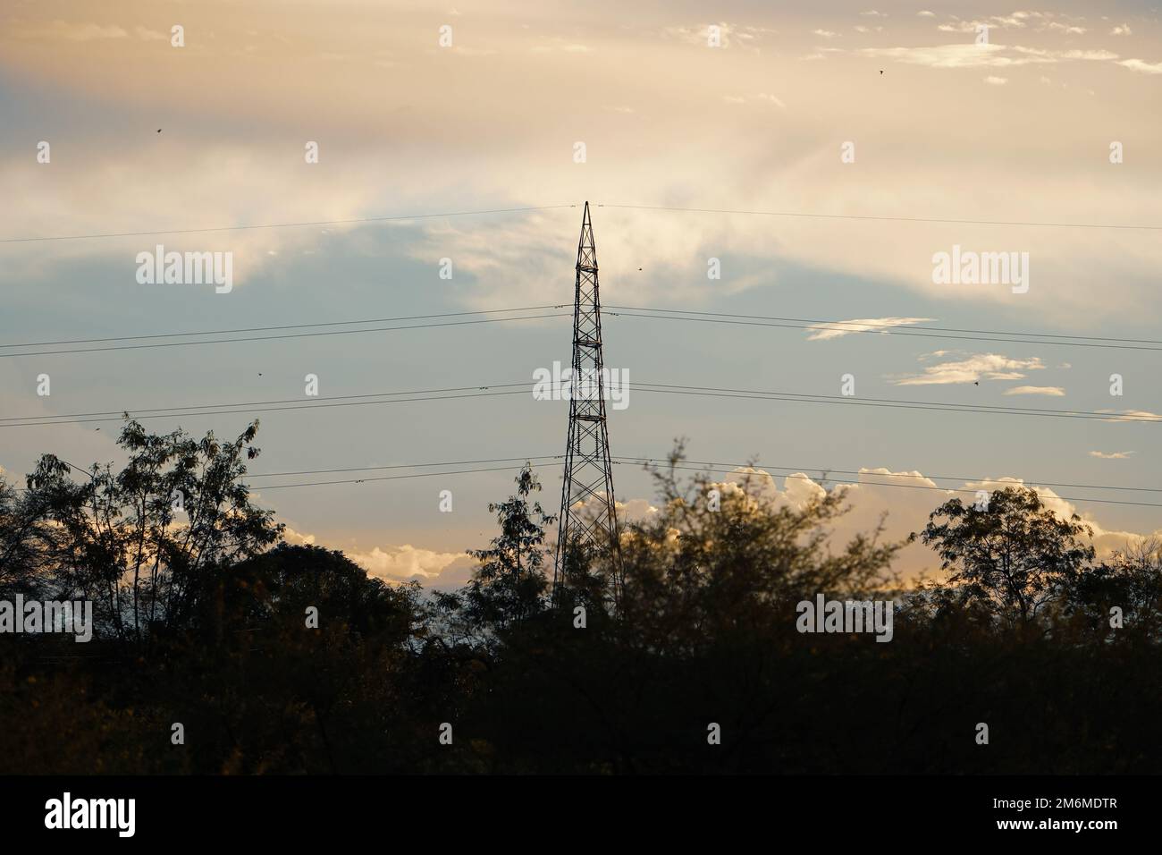 Hochspannungs-Hochspannungs-Hochspannungs-Hochspannungs-Elektrokabel mit Landschaftsbäumen bei Sonnenuntergang, Elektrische Stromleitungen Silhouette Stockfoto