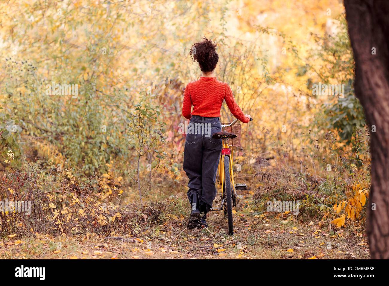 Wochenendaktivität in der Herbstsaison. Junge, fröhliche, gemischte Frau mit Fahrrad im Herbstwald. Rückansicht von positiv aktiv Stockfoto