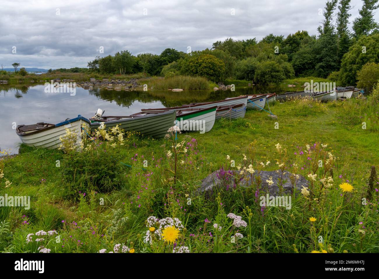 Seeufer mit vielen hölzernen Fischerbooten am Ufer des Lough Corrib Sees mit bunten Sommerwildblumen im Vordergrund Stockfoto