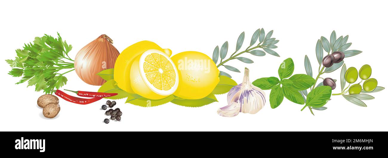 Kräuter und Gewürze isoliert Illustration Stockfoto