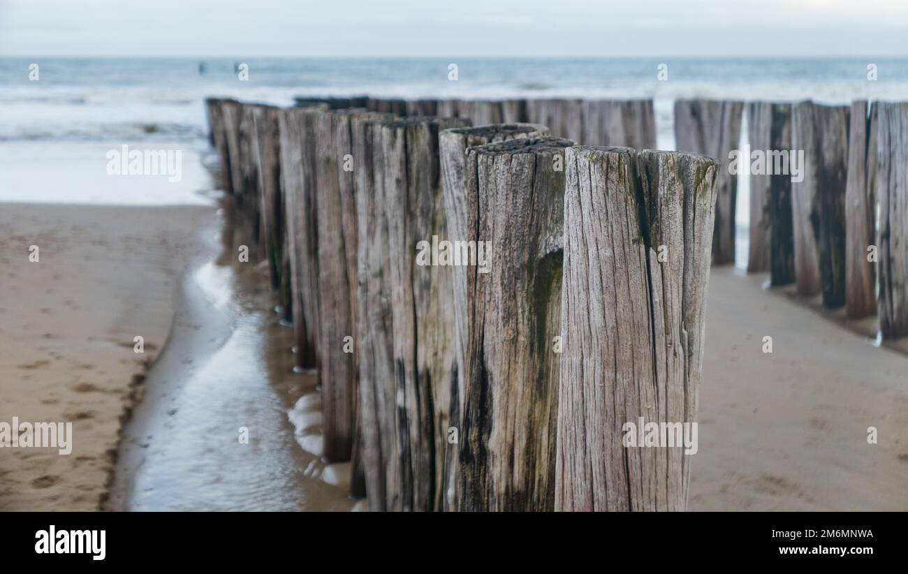 Groynes am Sandstrand am Meer aus verwitterten Holzstapeln in der schwachen Morgensonne im Winter Stockfoto