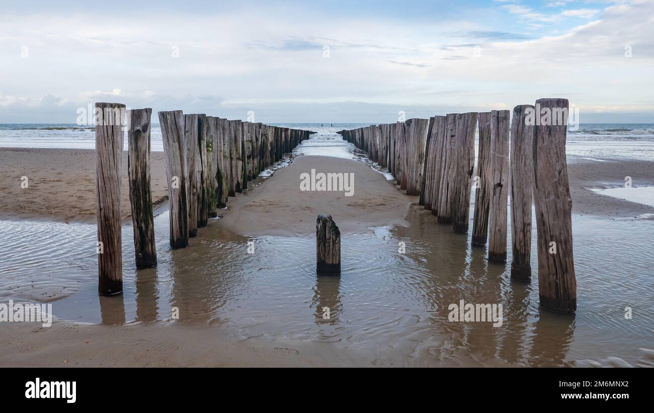 Groynes am Sandstrand am Meer aus verwitterten Holzstapeln in der schwachen Morgensonne im Winter Stockfoto