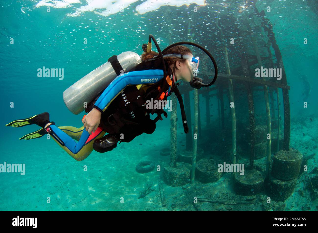 9-jähriges Mädchen taucht am Steg, Post 1 Tauchplatz, Menjangan Island, Buleleng, Bali, Indonesien Stockfoto