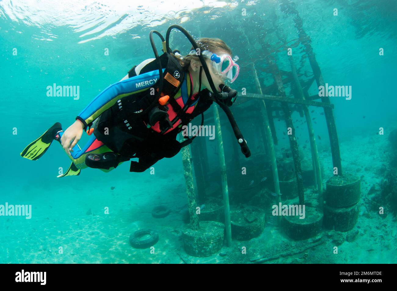 9-jähriges Mädchen taucht am Steg, Post 1 Tauchplatz, Menjangan Island, Buleleng, Bali, Indonesien Stockfoto